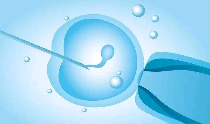 武汉音乐艺考培训机构排名哪个好,武汉哪家正规助孕机构做供卵试管比较好？