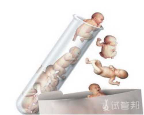 武汉供卵试管助孕机构介绍,2023武汉市试管代怀生子机构排名，附试管助孕机构
