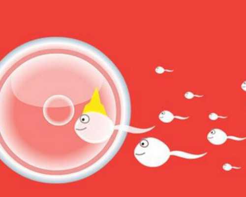 助孕包性别哪家好|苏州市立医院三代让移植2个胚胎吗？