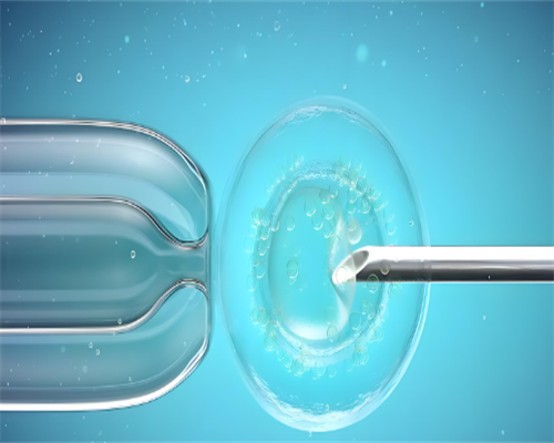 武汉有代孕公司吗,武汉供卵三代生子,武汉供卵借腹生子