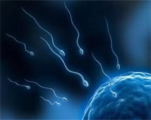 武汉正规代怀中介,[武汉试管医生排名]武汉做试管医院排名