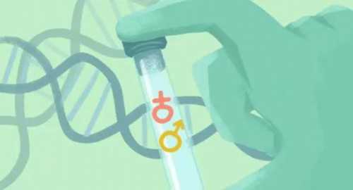 中信爱心助孕申请表|鄂尔多斯三代试管婴儿-2026鄂尔多斯3代试管医院及成功率