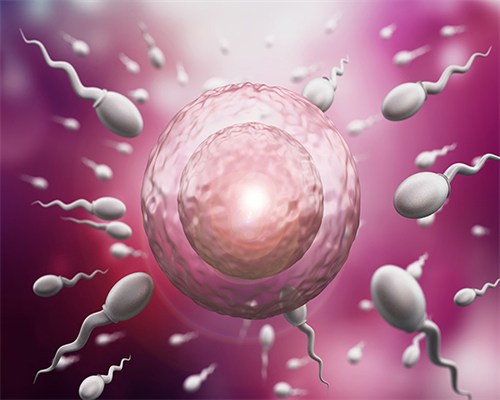 成功宝贝助孕安全吗|珠海妇幼第三代试管婴儿成功率