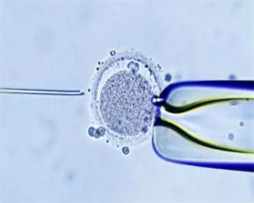 2026湖北三代试管助孕价格？武汉三代试管多少钱？