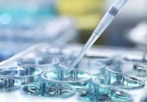 武汉要找代孕公司,武汉正规供卵试管医院,武汉正规供卵机构