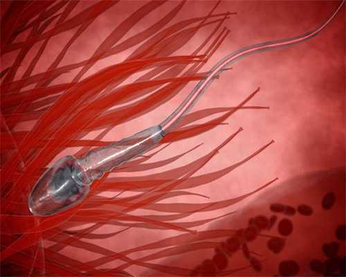 添禧助孕靠谱吗|葫芦岛试管婴儿葫芦岛试管婴儿哪家好