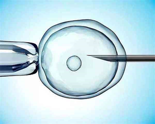 武汉同志代怀,武汉协和医院供卵代孕婴儿技术成功率是多少，费用大概是多少