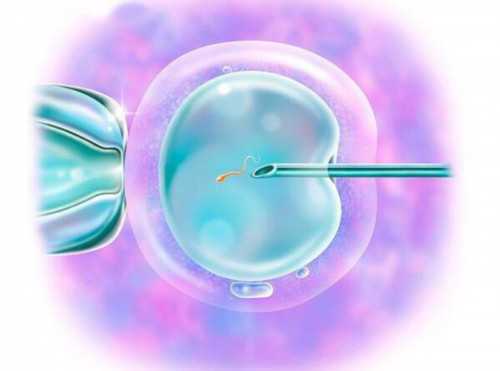 武汉找代生的人多吗,武汉锦欣三代试管(武汉三代试管机构在哪里)