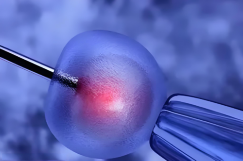 第三方助孕价格|2026
滨州试管婴儿医院排名，附成功率及费用介绍