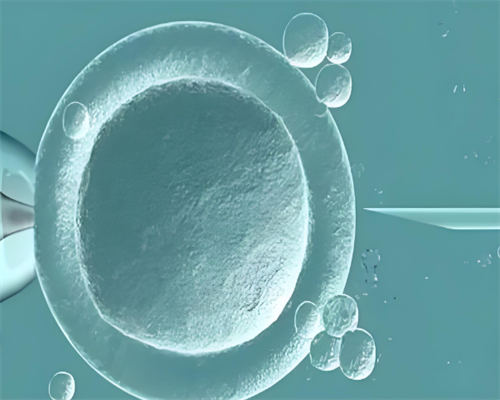 武汉正规代生,武汉协和医院供卵代孕婴儿成功率高吗?技术怎么样？