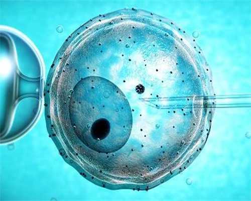 助孕包性别多少钱|合肥供卵试管生男孩医院名单更新