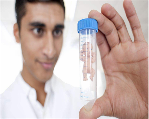 武汉专业借卵生子,武汉供卵试管费用（武汉试管婴儿捐卵供卵）