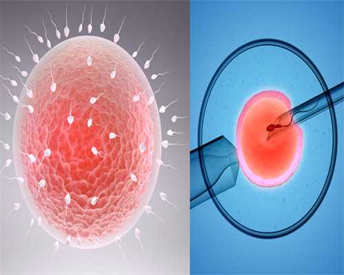 武汉代怀流程,武汉做试管去哪里(武汉做试管婴儿哪里好)