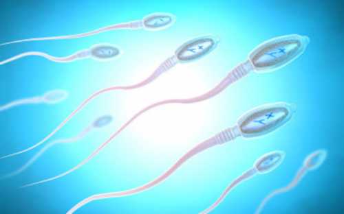 武汉靠谱代生中心,武汉供卵试管流程,武汉供卵试管中心