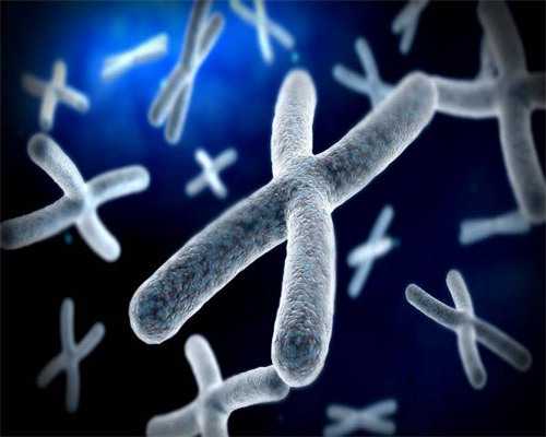 武汉供卵大概要等多久,武汉供卵机构电话