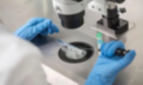 武汉供卵试管好找,武汉正规供卵试管医院,武汉正规供卵机构