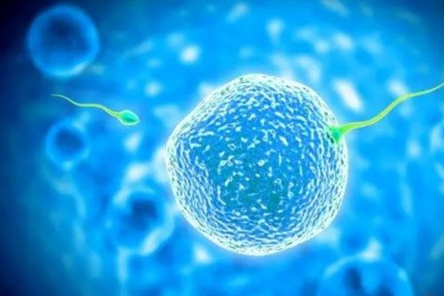 武汉产假是128天吗？为什么有人认为武汉产假是128天？