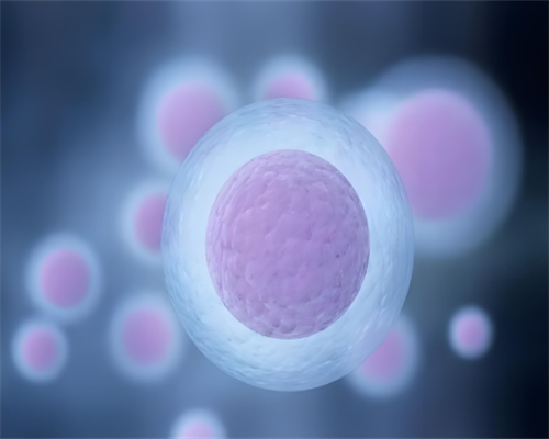 武汉正规医院能供卵吗,武汉同济医院供卵吗(武汉同济医院供卵试管)