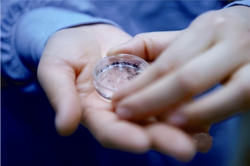 爱丁优生助孕胡燕军|沈阳供卵包男孩(广州三代试管生男孩)