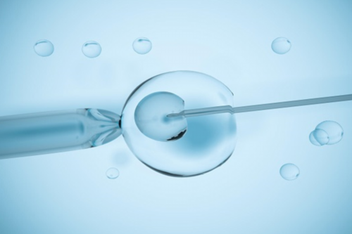 圆梦助孕安全吗|甘肃供卵试管成功率排名一览表,内附费用及卵源等待时间