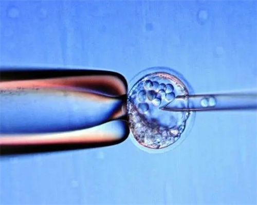 武汉助孕服务网站,武汉同济医院供卵代孕婴儿定方案，满足个性化生育需求！