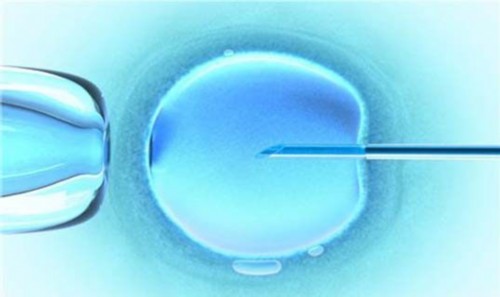 武汉代怀网站大全,武汉哪家医院有卵子库？附供卵试管医院排名一览！