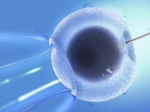 广州助孕包成功多少钱|芜湖第三代试管婴儿多少？芜湖第三代试管婴儿多少钱