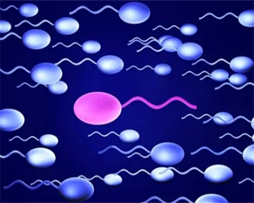 成都助孕包成功中心|南充试管医院排名前十的有哪些?附详细医院情况