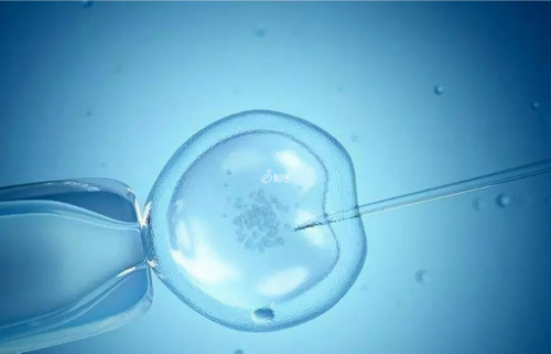 武汉医院借卵试管,「武汉三代试管婴儿医院」珠海三代试管武汉