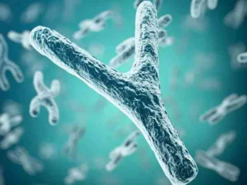 分数的意义与性质教案，三年级的分数怎么教的