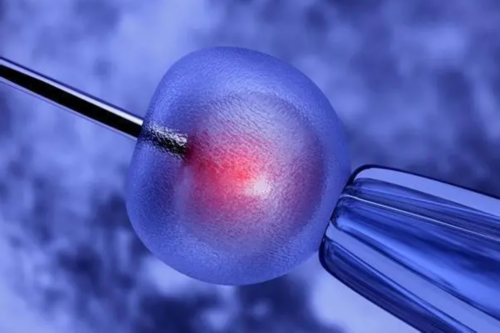 武汉是否能做借卵生子,武汉买卵生子