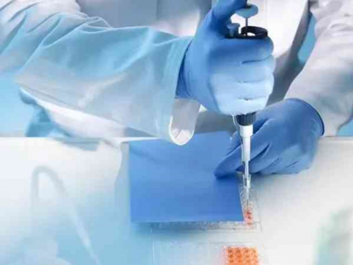 武汉供卵一颗卵多少钱,武汉有做供卵试管医院吗？