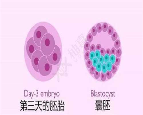 武汉最大的代怀,武汉非凡供卵,武汉供卵费用