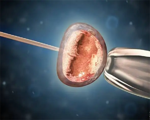 武汉代生中心好吗,武汉和睦优生供卵助孕机构,7o6p武汉供卵助孕和睦优生