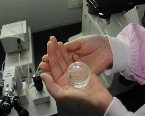 武汉代生中心好吗,武汉供卵的费用,武汉默默供卵试管