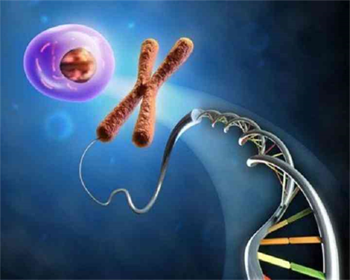 口碑好西安助孕包成功|苏州供卵试管选性别费用是多少，一般在5万至8万
