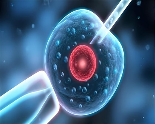 武汉中南精子库,武汉中南熙悦为什么这么贵