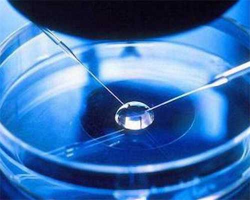 武汉试管代孕医院排名,武汉助孕医院(武汉试管助孕医院)