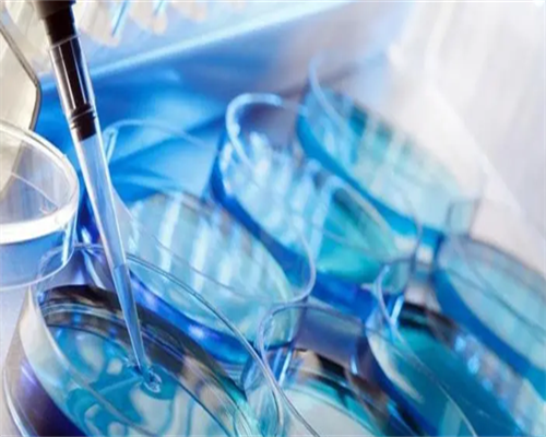 东骏国际助孕多少钱|东莞供卵试管生一对龙凤胎费用明细？内含供精供卵价格