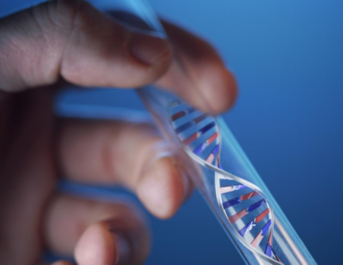 怀孕做nt检查哪个部位？怀孕做nt检查有必要吗？