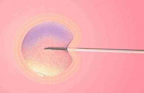 武汉代怀中心机构,武*民试管婴儿多少钱，武汉市民试管婴儿多少钱