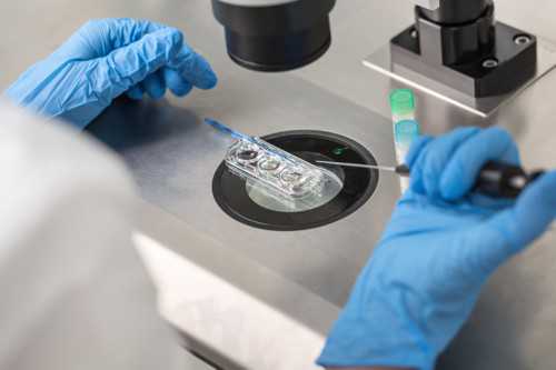 武汉试管代孕靠谱吗,武汉锦欣三代试管(武汉三代试管机构在哪里)