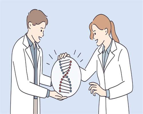 武汉地下供卵试管靠谱吗,武汉试管借腹生子供卵的情况