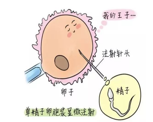 武汉有去试管代怀,武汉供卵试管婴儿费用参考附供卵成功经验分享