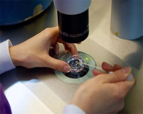 武汉代生在哪里,武汉供卵助孕试管(武汉供卵试管助孕机构)