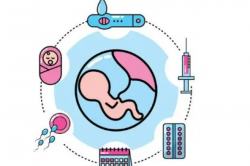 武汉代生电话,武汉同济医院(武汉同济试管)