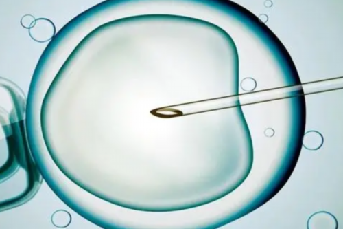 武汉代怀生男孩,武汉试管婴儿费用明细,2026武汉私立试管婴儿机构费用明细表