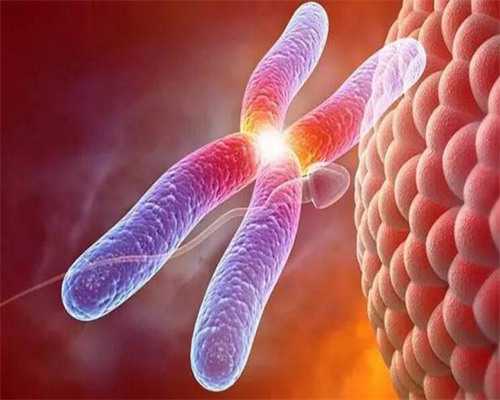 武汉助孕代生子,武汉三代供卵代孕婴儿医院排名情况怎样？