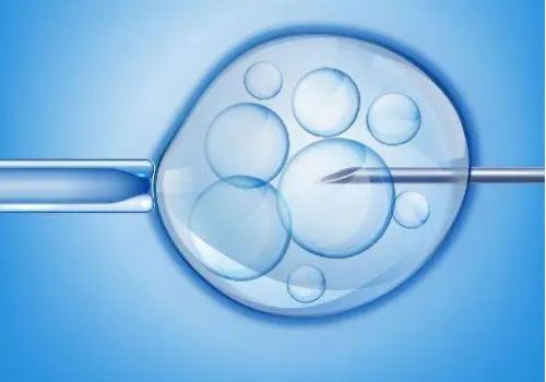 武汉最好代孕网,武汉供卵试管包生男孩,武汉供卵试管包男孩