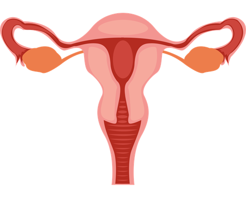 武汉单身代生,武汉供卵自怀费用,武汉同济生殖供卵捐卵供卵代孕三代同性恋可